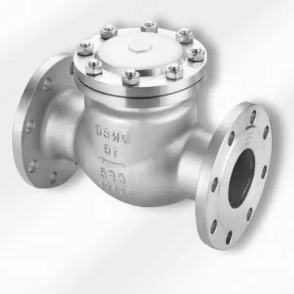 6 Swing Check Valves Provide Reliable Flow Control for Industrial Pipelines